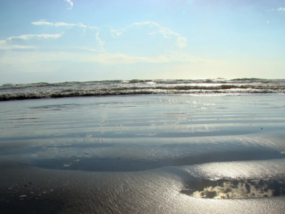 Pasajes de micro a San Bernardo con descuento