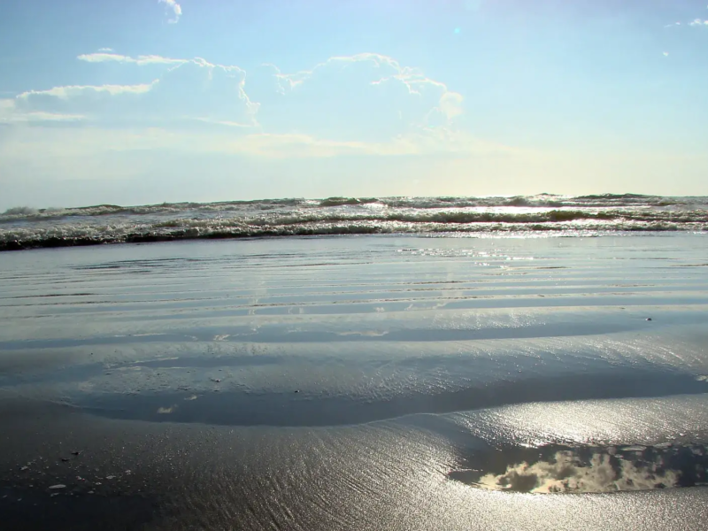 Pasajes de micro a San Bernardo con descuento